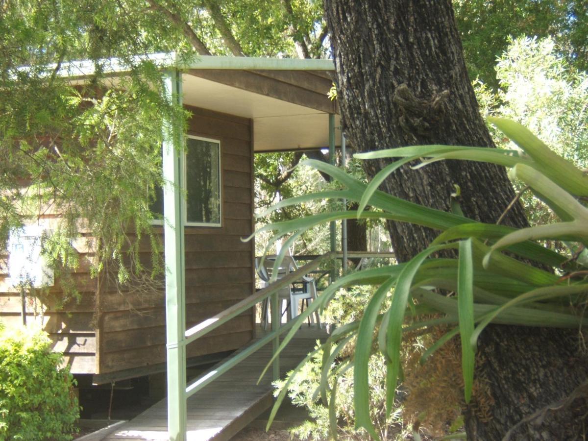 Scenic Rim Motel Aratula Extérieur photo
